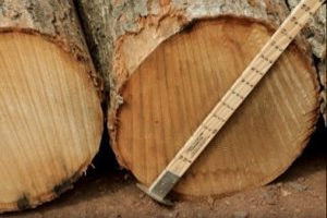 Log Scaler